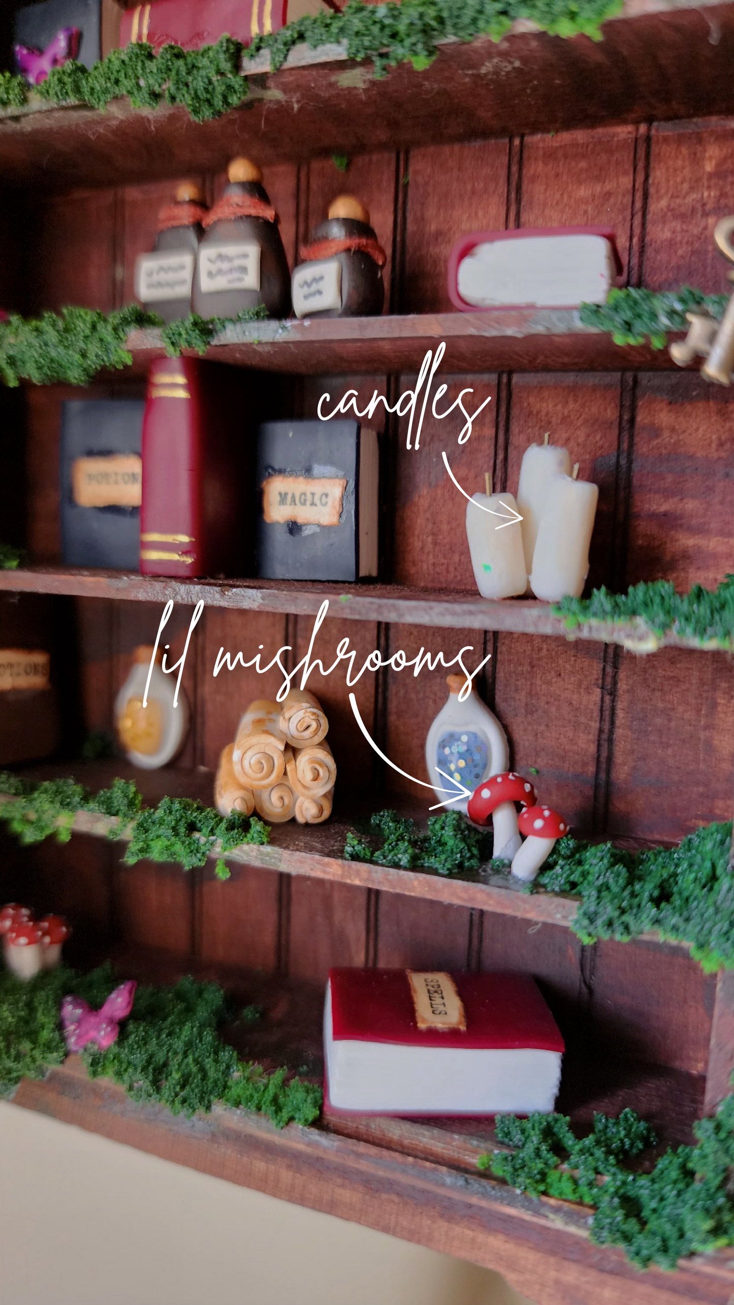 The Whimsical Bookshelf